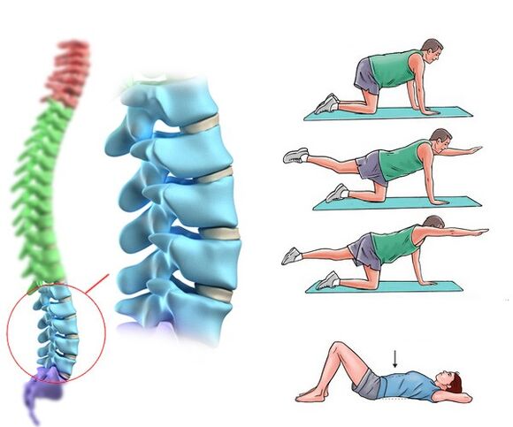 Physiotherapie und Massage